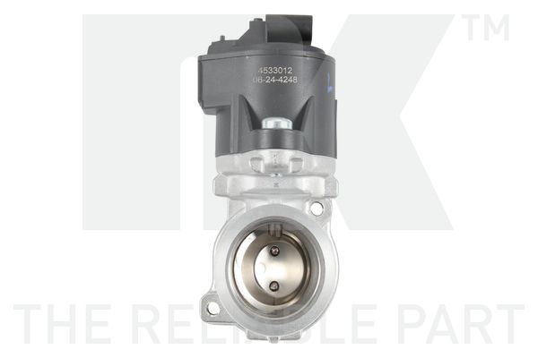 ERG vožtuvas NK 4533012