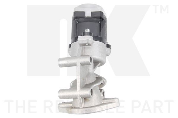 ERG vožtuvas NK 4540002