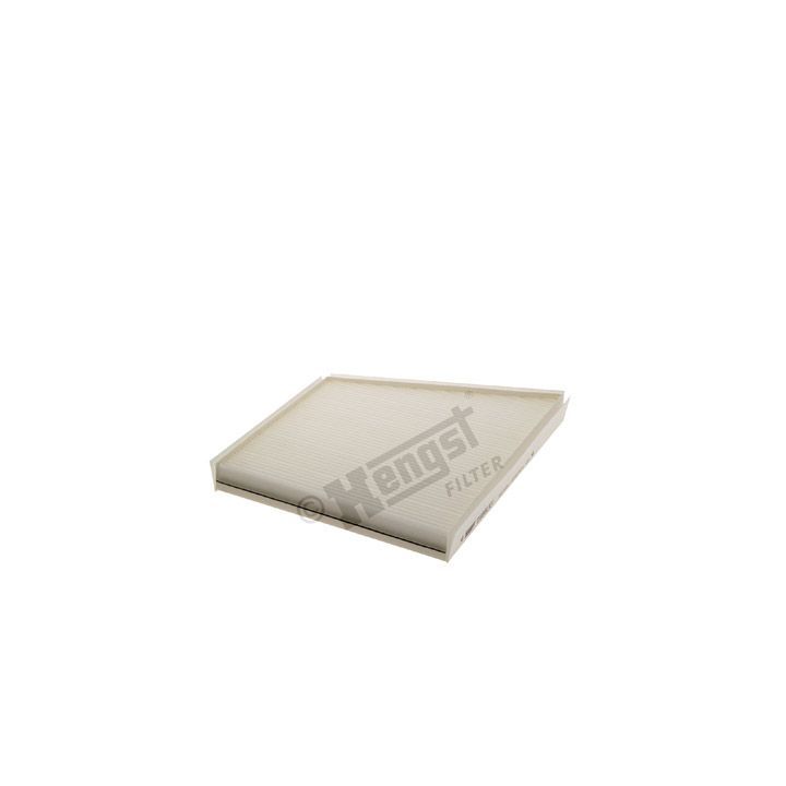 Filtras, salono oras HENGST FILTER E989LI01