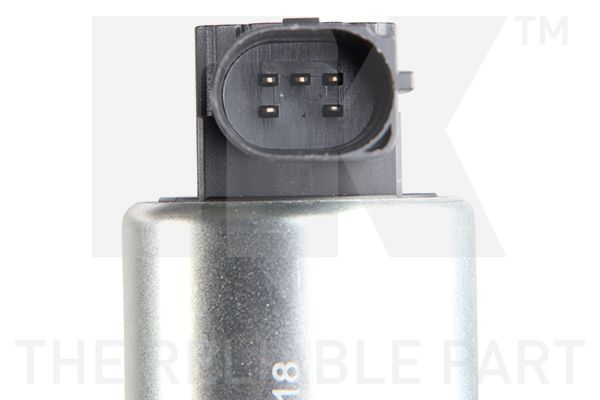 ERG vožtuvas NK 4599018