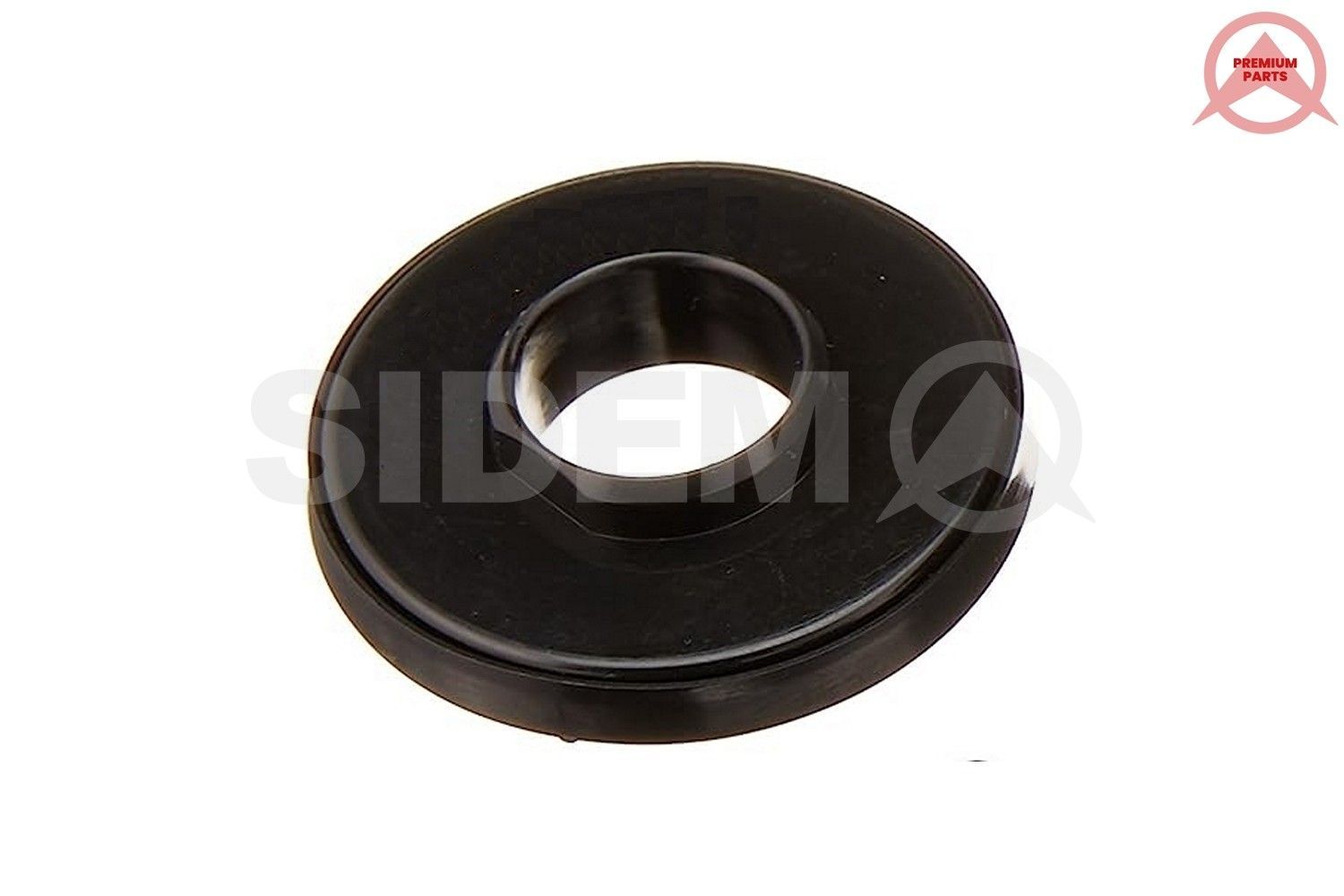 Frikcinis guolis, pakabos statramsčio atramos montavimas SIDEM 881413