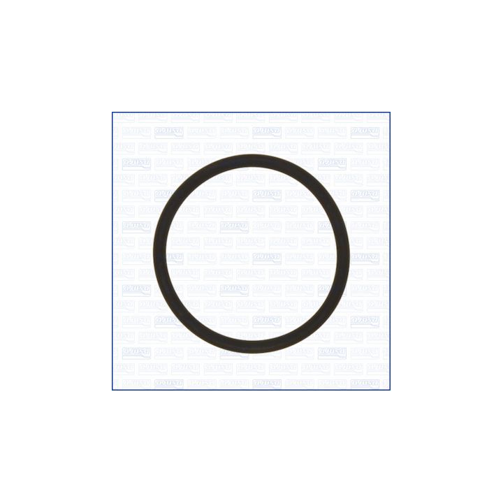 Tarpiklis, įsiurbimo kolektoriaus korpusas AJUSA 16531000