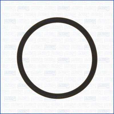 Tarpiklis, įsiurbimo kolektoriaus korpusas AJUSA 16531000