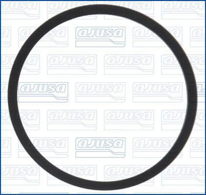 Tarpiklis, įsiurbimo kolektoriaus korpusas AJUSA 24045200