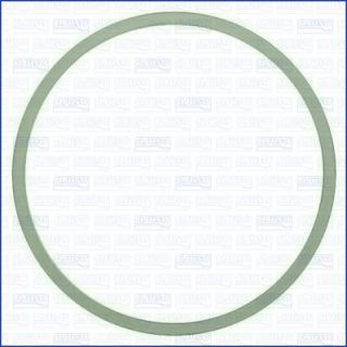 Tarpiklis, įsiurbimo kolektoriaus korpusas AJUSA 24046400