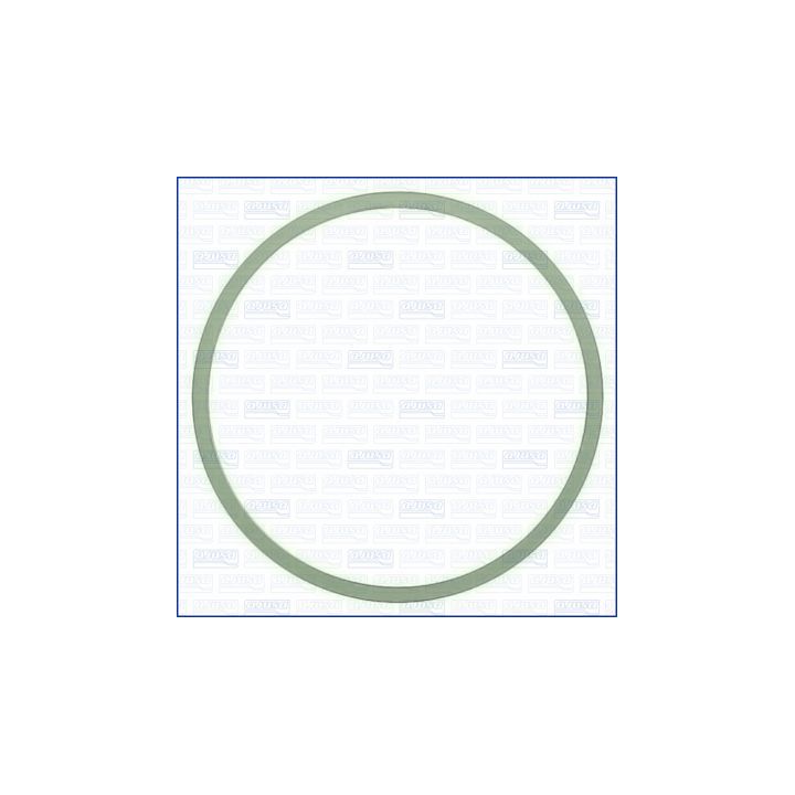 Tarpiklis, įsiurbimo kolektoriaus korpusas AJUSA 24046400