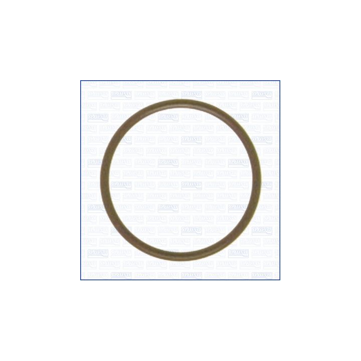 Tarpiklis, alyvos siurblys AJUSA 16062700