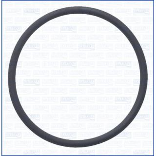 Tarpiklis, degalų siurblys AJUSA 16131600