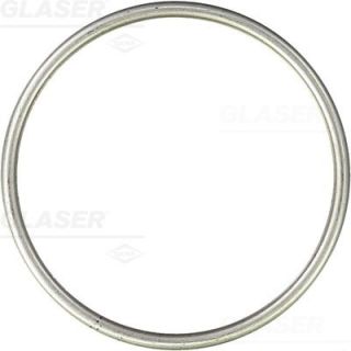 Tarpiklis, išleidimo kolektorius GLASER X82365-01