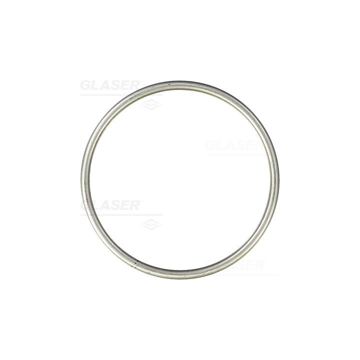 Tarpiklis, išleidimo kolektorius GLASER X82365-01