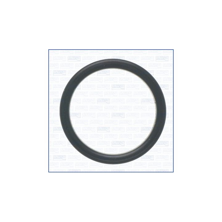 Tarpiklis, vandens siurblys AJUSA 01495000