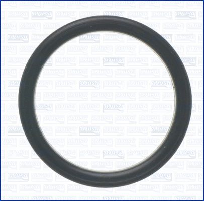 Tarpiklis, vandens siurblys AJUSA 01495000