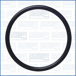 Tarpiklis, vandens siurblys AJUSA 16095900