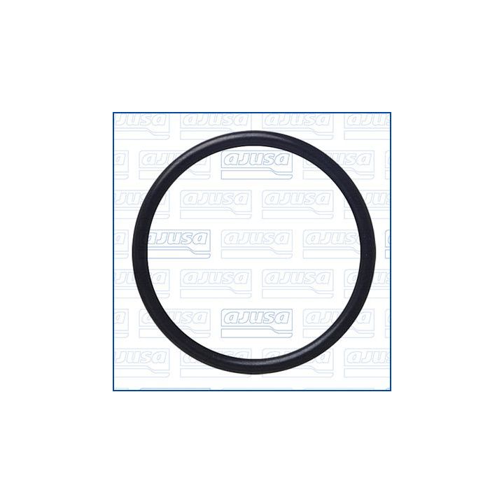 Tarpiklis, vandens siurblys AJUSA 16095900