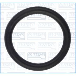 Tarpiklis, vandens siurblys AJUSA 16103300