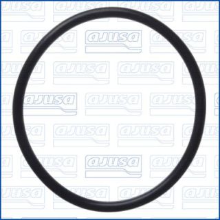 Tarpiklis, vandens siurblys AJUSA 16111500