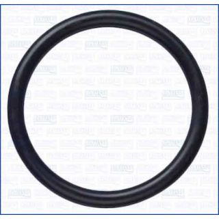 Tarpiklis, vandens siurblys AJUSA 16506100