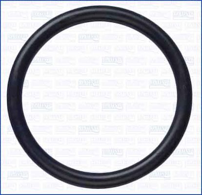 Tarpiklis, vandens siurblys AJUSA 16506100