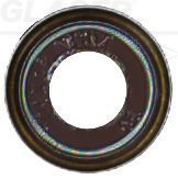 Tarpiklis, vožtuvo šerdis GLASER P77809-00