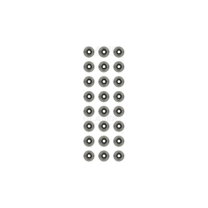 Tarpiklių komplektas, vožtuvo šerdis GLASER N96080-00