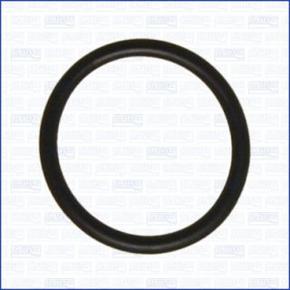 Tarpiklis, aušinimo skysčio vamzdelis AJUSA 16078300