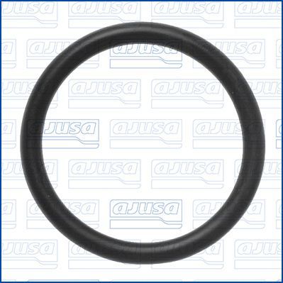 Tarpiklis, aušinimo skysčio vamzdelis AJUSA 16123100