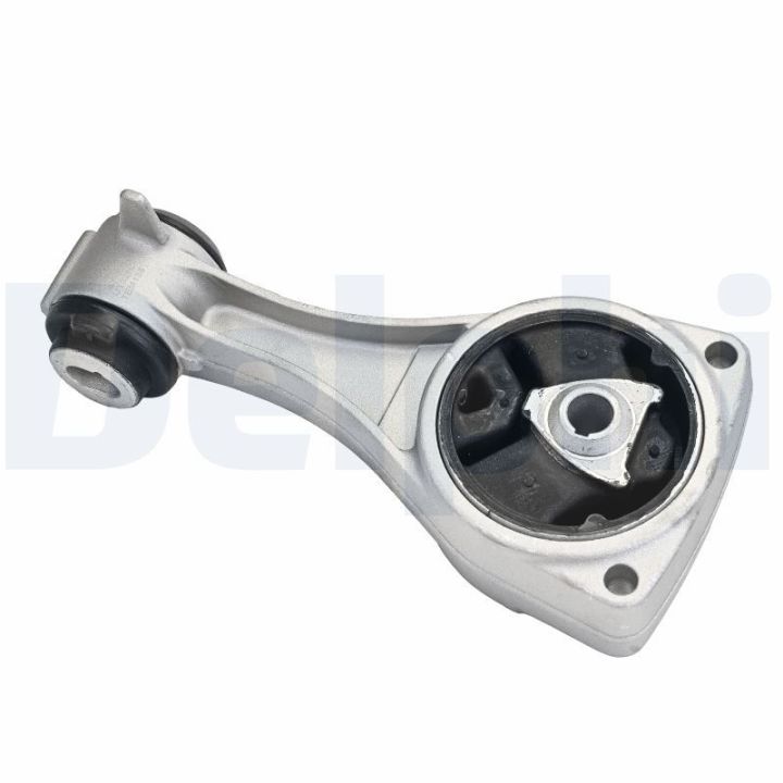 Variklio montavimas DELPHI TEM138