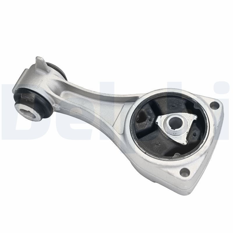 Variklio montavimas DELPHI TEM138