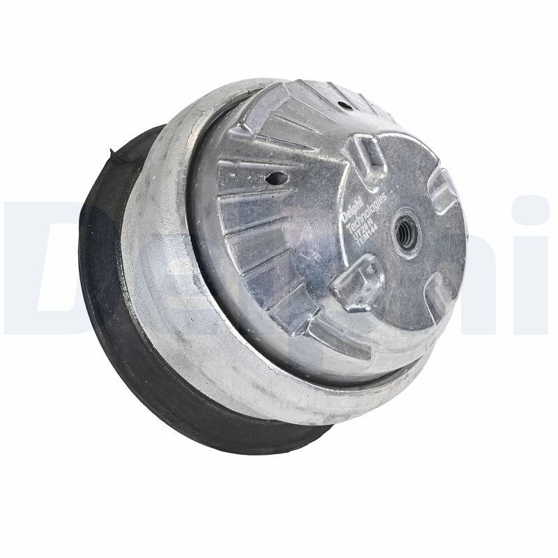 Variklio montavimas DELPHI TEM144