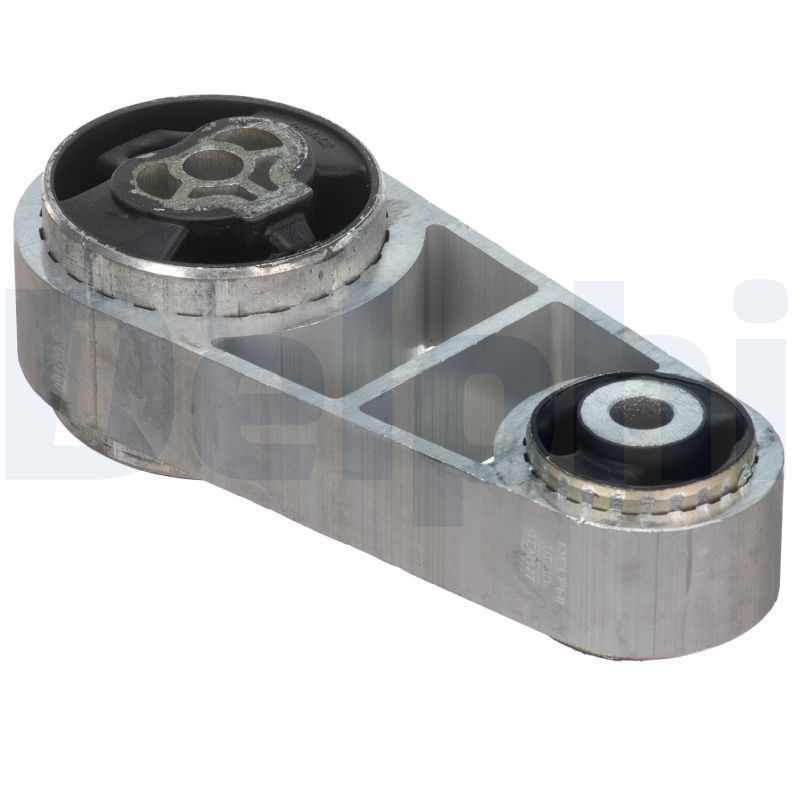 Variklio montavimas DELPHI TEM177