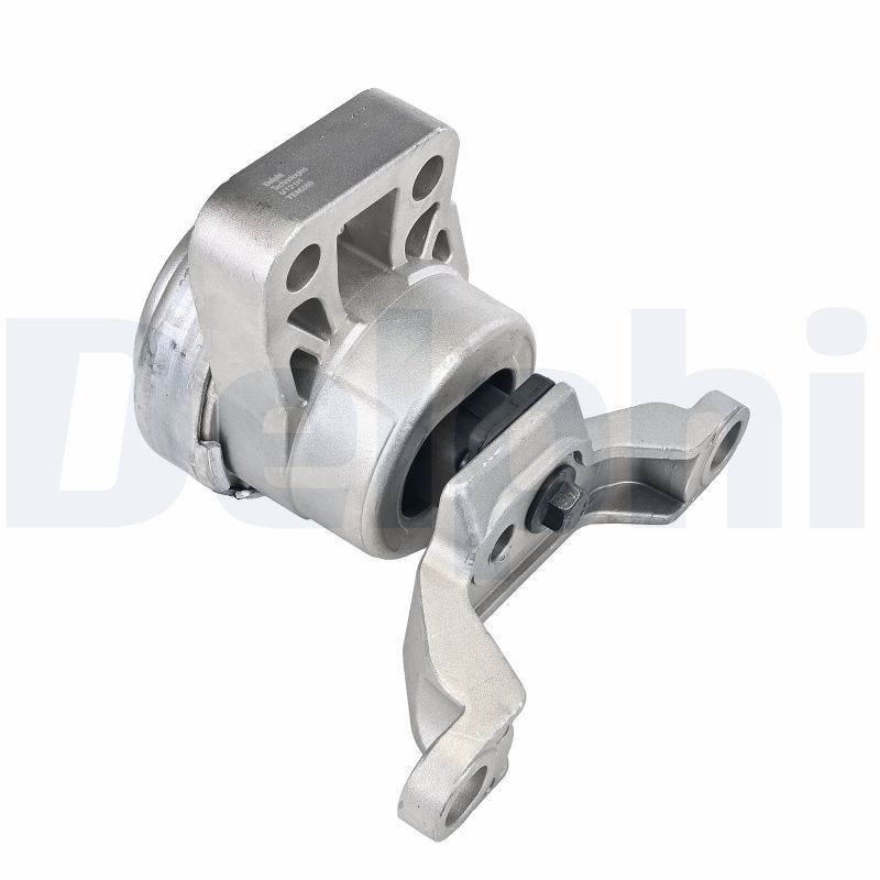 Variklio montavimas DELPHI TEM240
