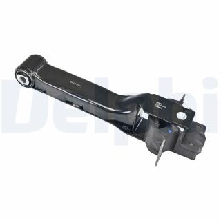 Variklio montavimas DELPHI TEM243
