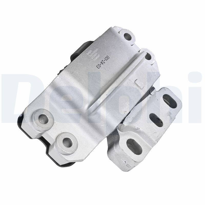 Variklio montavimas DELPHI TEM247