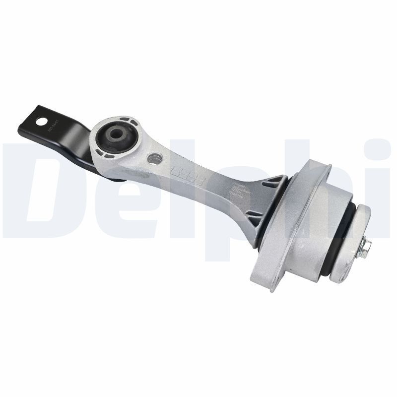 Variklio montavimas DELPHI TEM260