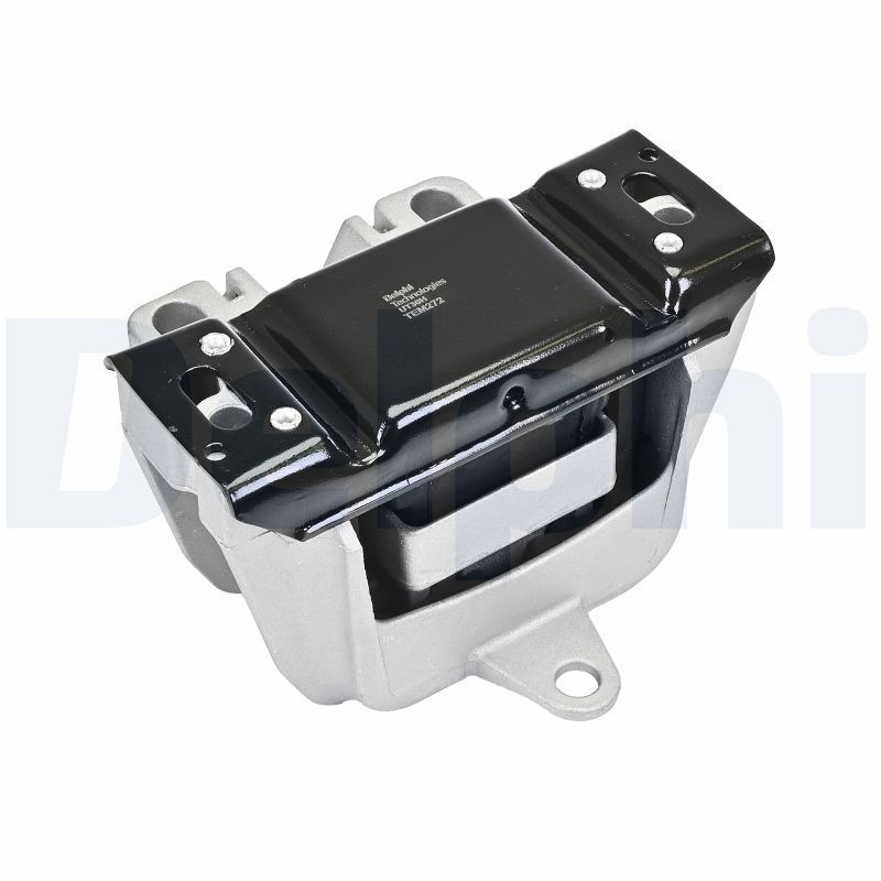 Montavimas, neautomatinė transmisija DELPHI TEM272