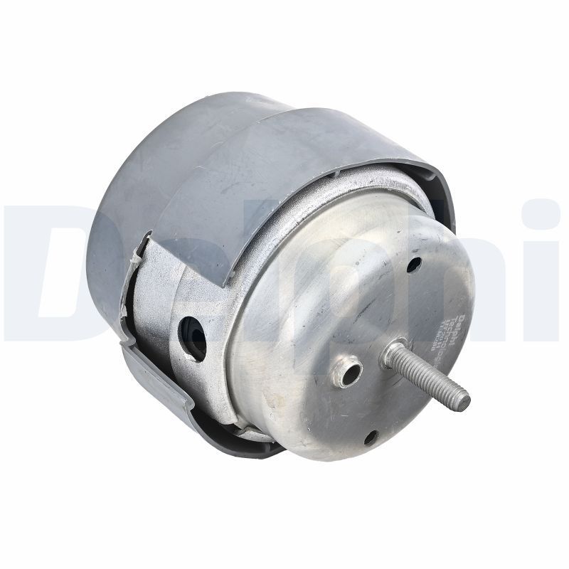 Variklio montavimas DELPHI TEM288