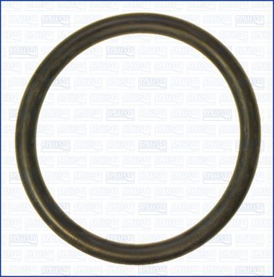 Tarpiklis, aušinimo skysčio vamzdelis AJUSA 16097500