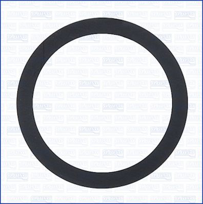 Tarpiklis, EGR vožtuvas AJUSA 33001100