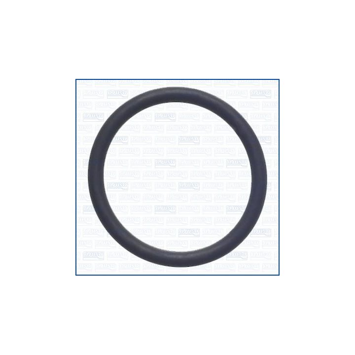 Tarpiklis, alyvos išleidimo anga (pildymas) AJUSA 16123200