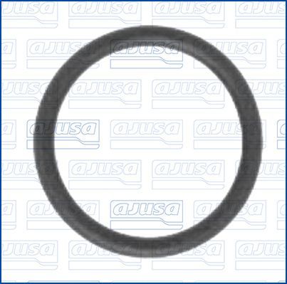 Tarpiklis, vandens jungtis (piltuvas) AJUSA 16007800