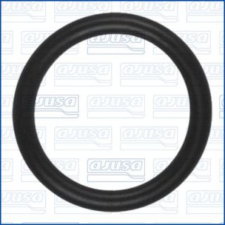 Tarpiklis, vandens jungtis (piltuvas) AJUSA 16524500