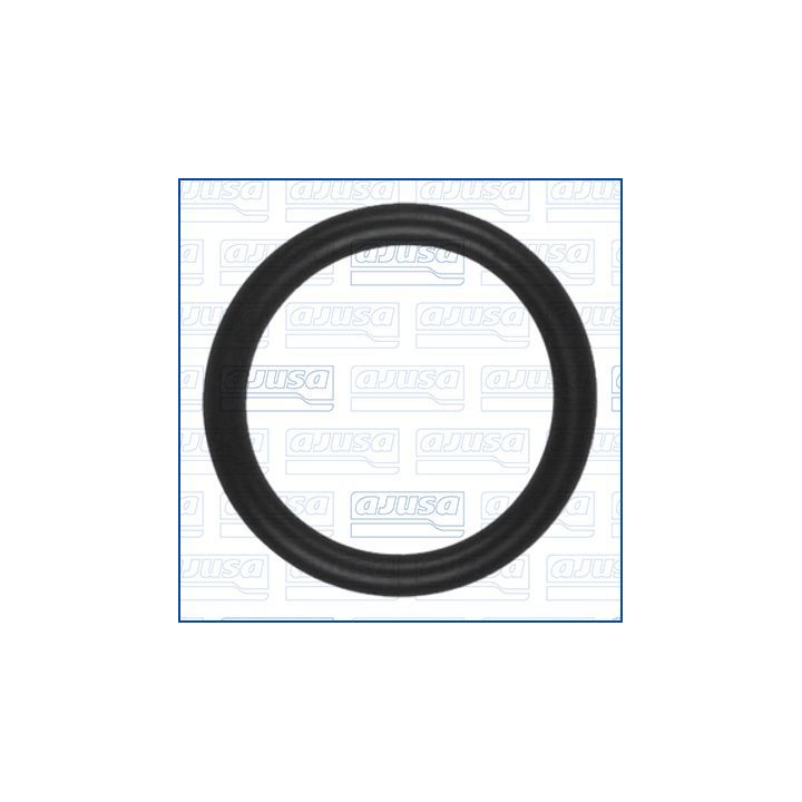 Tarpiklis, vandens jungtis (piltuvas) AJUSA 16524500