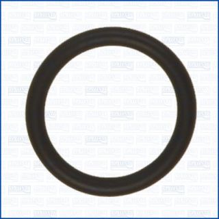 Tarpiklis, vandens jungtis (piltuvas) AJUSA 16548000