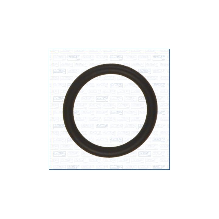 Tarpiklis, vandens jungtis (piltuvas) AJUSA 16548000