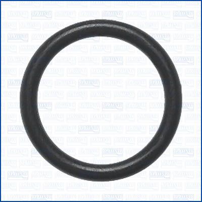 Tarpiklis, purkštukas AJUSA 16555500