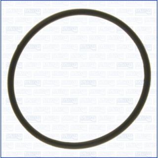 Tarpiklis, oro filtro korpuso įsiurbimo žarna AJUSA 00527400