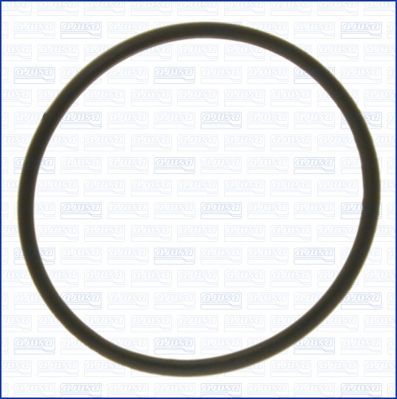 Tarpiklis, oro filtro korpuso įsiurbimo žarna AJUSA 00527400