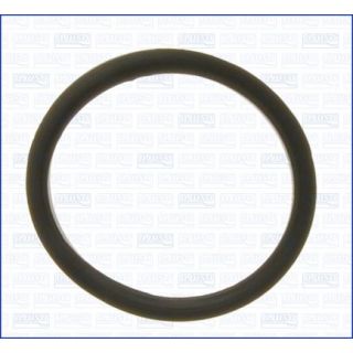 Tarpiklis, oro filtro korpuso įsiurbimo žarna AJUSA 00692600