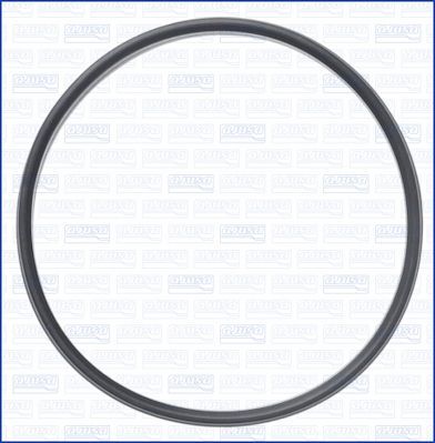 Tarpiklis, oro filtro korpuso įsiurbimo žarna AJUSA 01511300