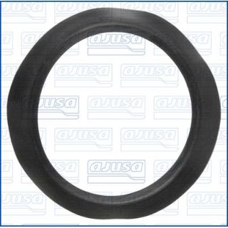 Tarpiklis, oro filtro korpuso įsiurbimo žarna AJUSA 01661900